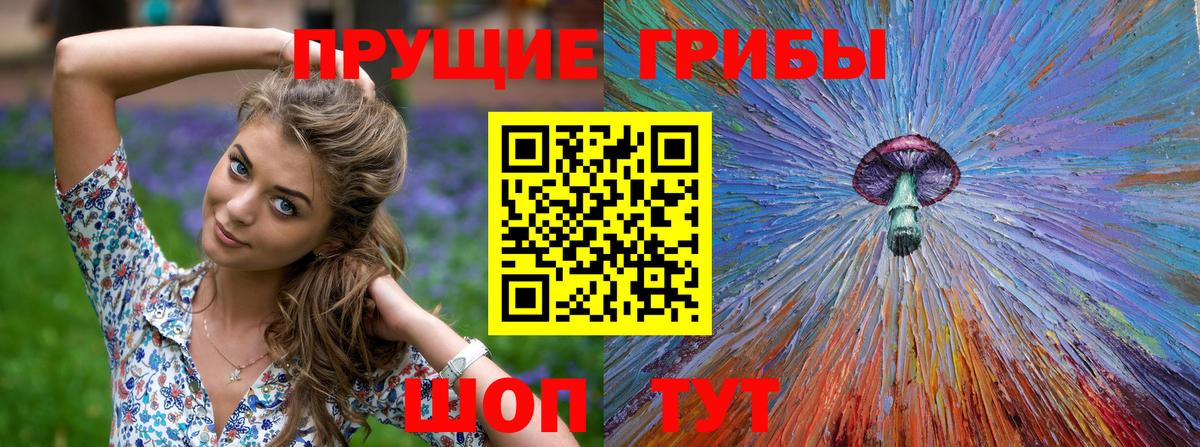 Галлюциногенные грибы Cubensis  купить наркотики цена  Мичуринск  Вход с VPN 