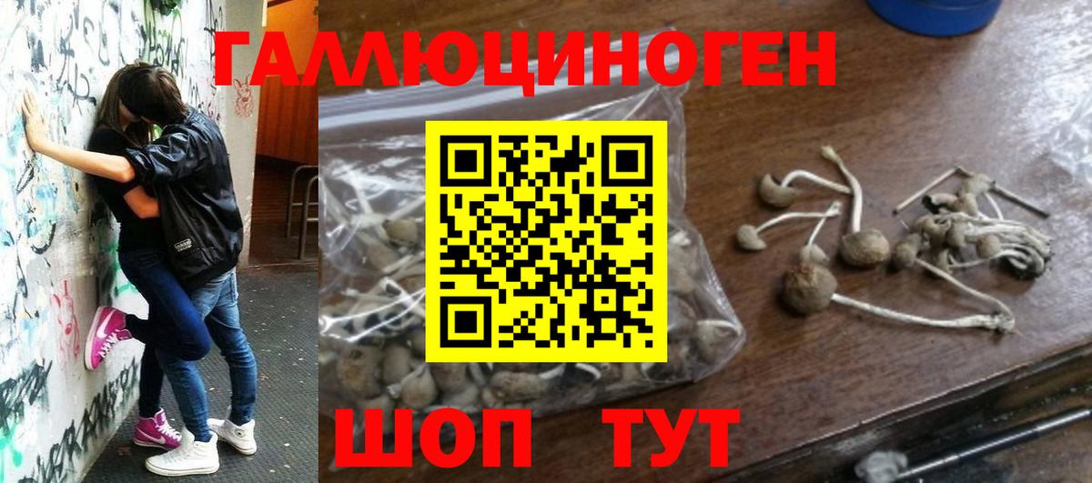 Галлюциногенные грибы мицелий Мичуринск